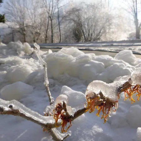 Manuela * Schottwien