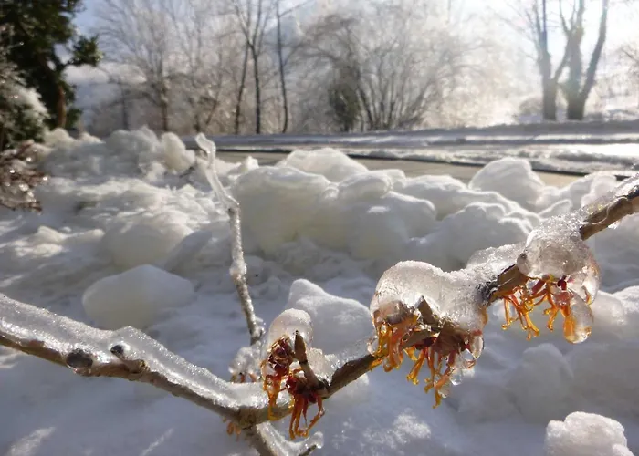Manuela * Schottwien